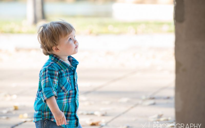 Huff Family / Muny at Forest Park / St. Louis Family Photography