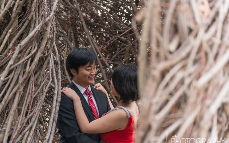 Estelle & Sean / Washington University in St. Louis Wedding Portraits