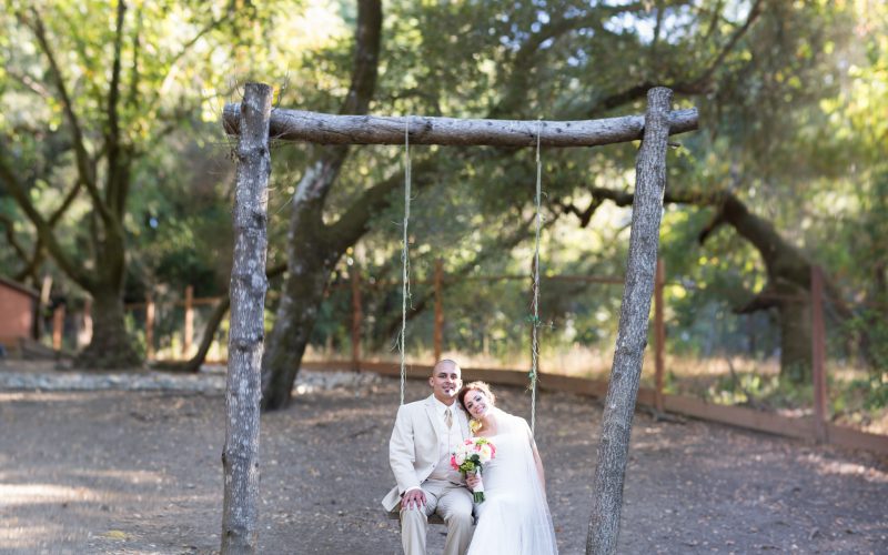 Christina & Chris / Los Gatos Creekside Terrace / San Francisco Bay Area Wedding Photography
