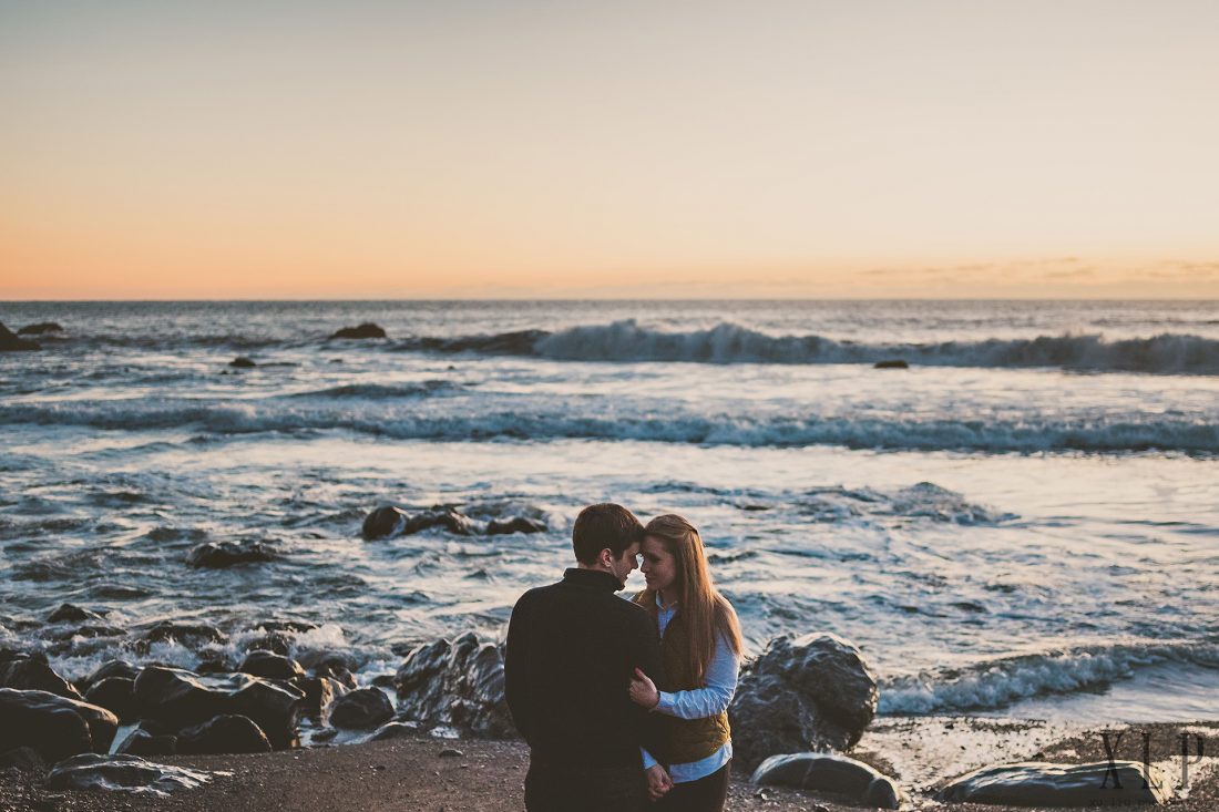 Muir Woods Engagement Photos (4)