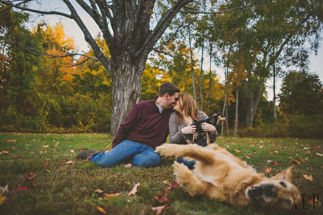 Hudson NH Engagement with dog rolling around