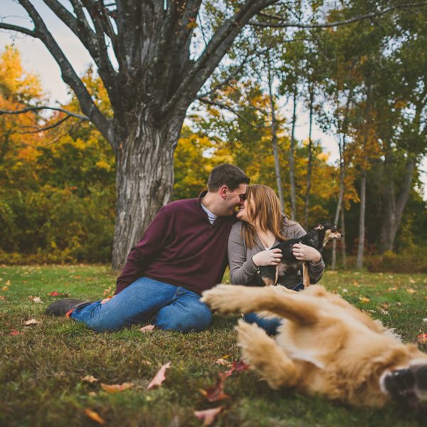 Hudson NH Engagement with dog rolling around