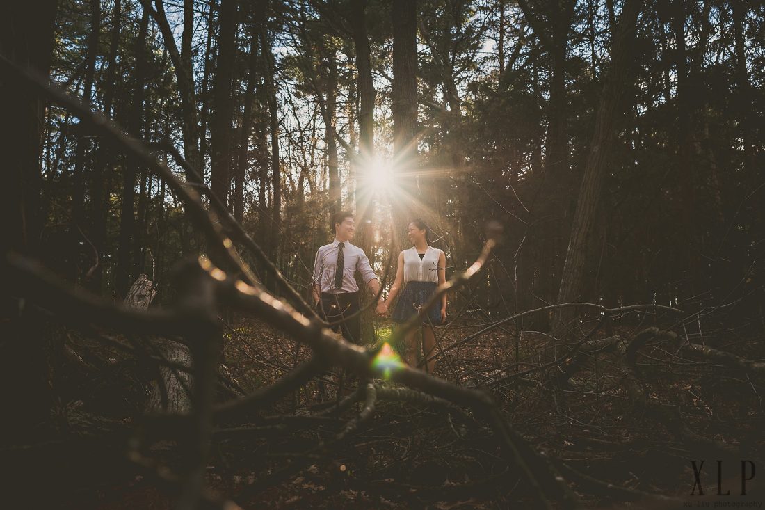 Middlesex Fells Engagement Session Portraits (12)