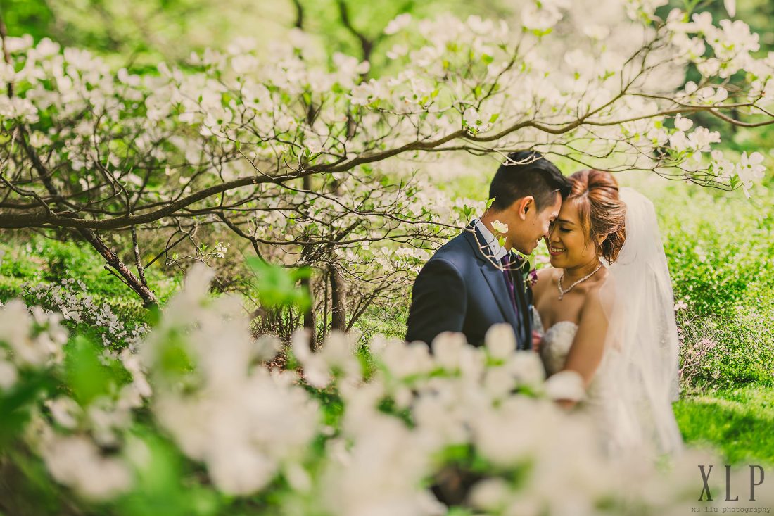 Beautiful cherry blossom wedding portrait