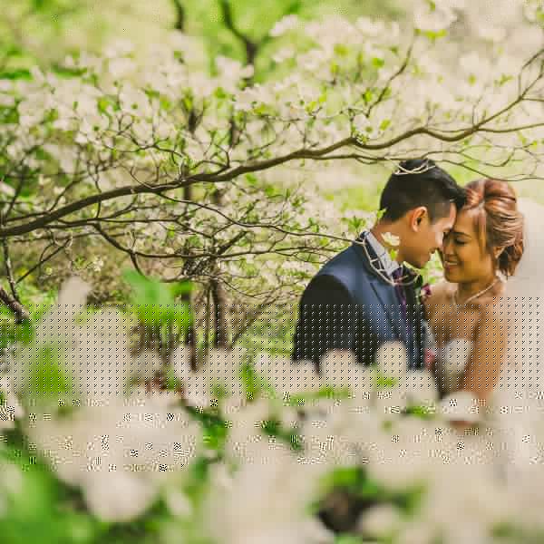 Beautiful cherry blossom wedding portrait