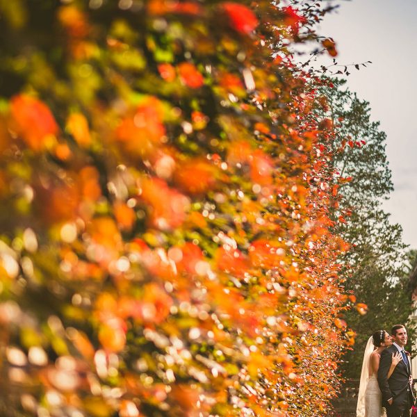Wedding Photo at Elm Bank