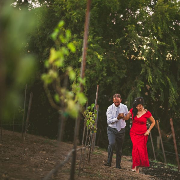 Judy + Craig / SF Bay Area Destination Wedding